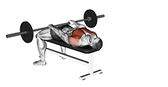 Front Raise and Pullover exercise demonstration