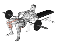 Lying Lifting exercise demonstration for Hips, Barbell