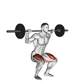 Barbell Narrow Stance Squat exercise demonstration