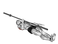 Barbell One Arm Floor Press exercise demonstration for Triceps, and Upper Arms, Barbell