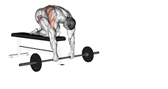 Barbell Rollout from Bench exercise demonstration