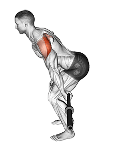 Barbell Skier exercise demonstration