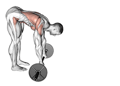 Barbell Standing AB rollout exercise demonstration