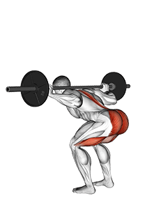 Barbell Stiff Leg Good Morning exercise demonstration for Hamstrings, and Thighs, Barbell