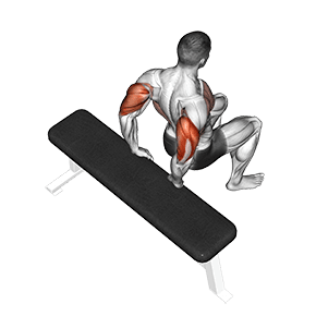 Bench Dip exercise demonstration