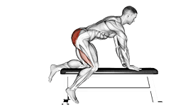 Bench Hip Extension exercise demonstration for Hips, Body weight