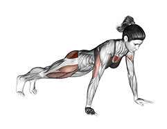 Bent Side Knee Push-up exercise demonstration for Hips, Body weight
