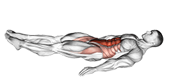 Bottoms-Up exercise demonstration for Waist, Body weight