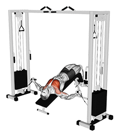Cable Decline Fly exercise demonstration for Chest, Cable