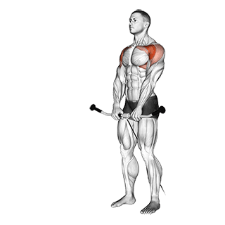 Cable Front Raise exercise demonstration