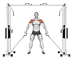 Front Shoulder Raise exercise demonstration