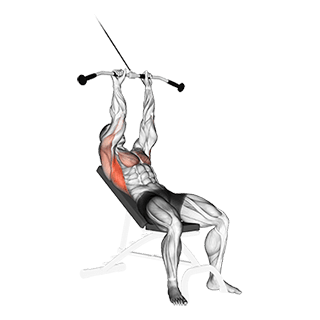 Incline Pushdown exercise demonstration