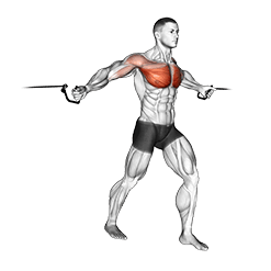 Middle Fly exercise demonstration for Chest, Cable