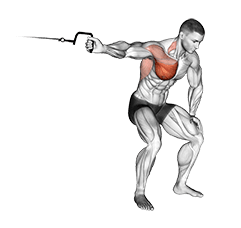 Cable One Arm Lateral Bent-over exercise demonstration
