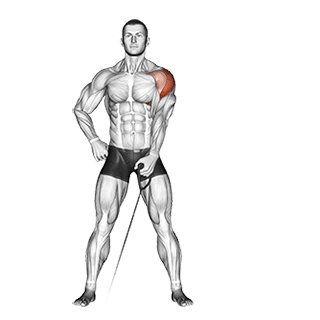 One Arm Lateral Raise exercise demonstration