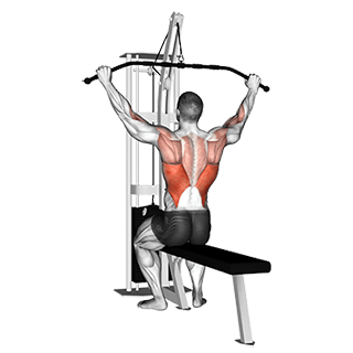 Cable Pulldown exercise demonstration for Back, Cable
