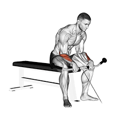 Cable Reverse Wrist Curl exercise demonstration for Forearms, Cable