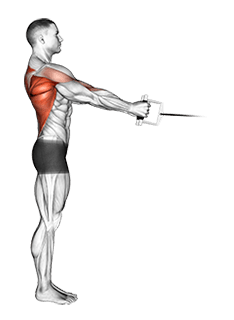 Cable Standing Row exercise demonstration for Back, Cable