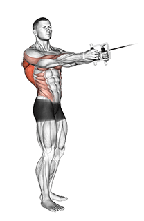 Cable Standing Twist Row exercise demonstration for Back, Cable