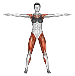 Cross Jacks exercise demonstration for Cardio, Body weight