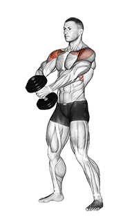 Dumbbell Front Raise exercise demonstration