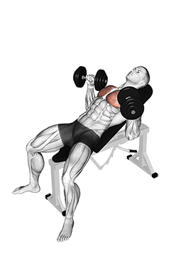 Dumbbell Incline Bench Press exercise demonstration for Chest, Dumbbell