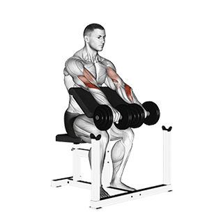 Dumbbell Reverse Preacher Curl exercise demonstration for Forearms, Dumbbell