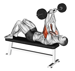 EZ Barbell JM Bench Press exercise demonstration for Triceps, and Upper Arms, EZ Barbell