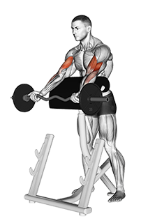 EZ Barbell Spider Curl exercise demonstration for Biceps, and Upper Arms, EZ Barbell