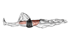 Flexion Leg Sit up exercise demonstration