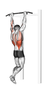 Gironda Sternum Chin exercise demonstration for Back, Body weight