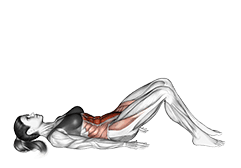 Hip Crunch exercise demonstration