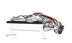 Hyperextension exercise demonstration for Waist, Body weight