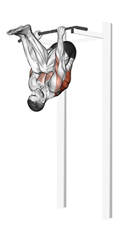 Inverted Row exercise demonstration