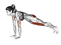 Lunge Push-up exercise demonstration for Quadriceps, and Thighs, Body weight