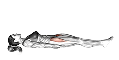 Lying Hip Leg Raise exercise demonstration