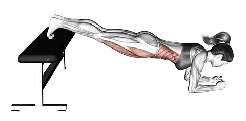 Narrow Leg Bench Bridge exercise demonstration