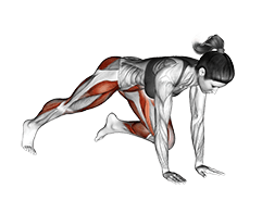 Push-up exercise demonstration for Cardio, Body weight