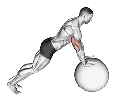 Push-up exercise demonstration for Chest, Stability ball
