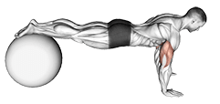 Push-Up exercise demonstration