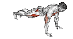 Push-Up Inside Leg Kick exercise demonstration for Hips, Body weight