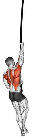 Rope Climb exercise demonstration