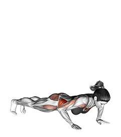 Rotate Push-up exercise demonstration