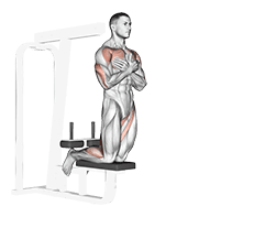 Self assisted Inverse Leg Curl exercise demonstration for Hamstrings, and Thighs, Body weight