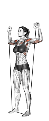 Shoulder Press exercise demonstration for Shoulders, Band