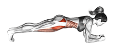 Sideway Leg Bridge exercise demonstration for Hips, Body weight
