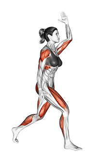 Split Jacks exercise demonstration for Cardio, Body weight