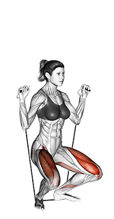 Squat exercise demonstration for Quadriceps, and Thighs, Band