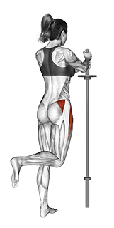 Standing Hip Abduction exercise demonstration for Hips, Body weight