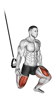 Suspended Split Squat exercise demonstration